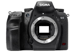 Sigma SD1 Merrill